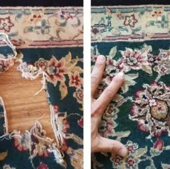 Avant / après : trou retissé à l'identique sur un tapis d'Orient